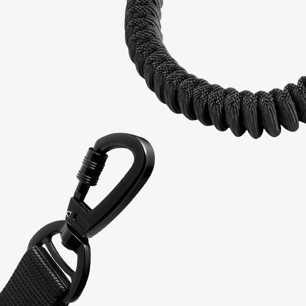 Pet Car Seatbelt Tether | PS100