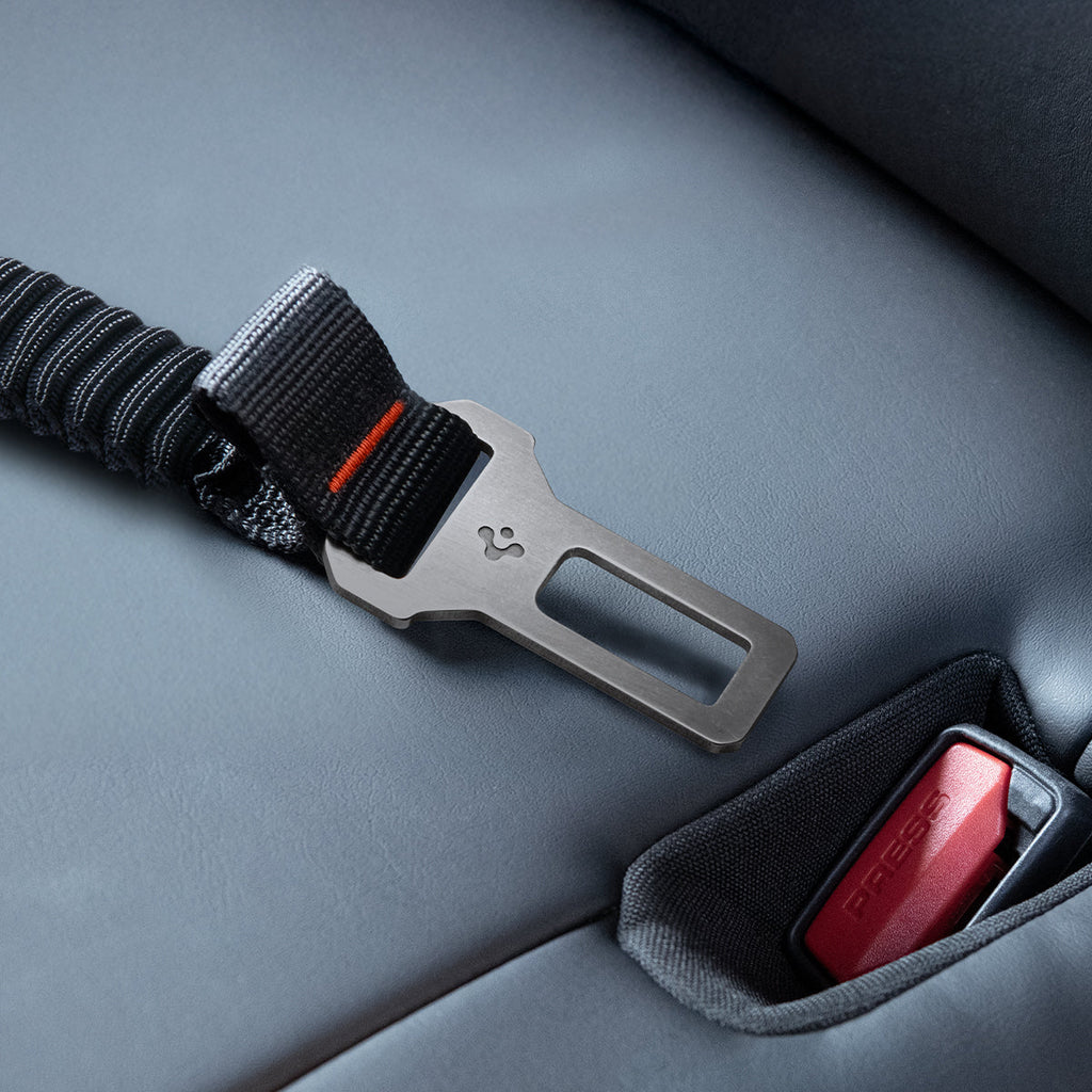 Pet Car Seatbelt Tether | PS100