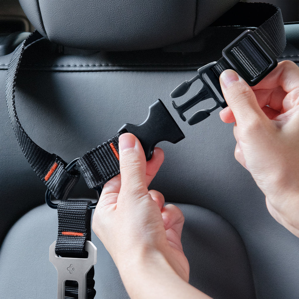 Pet Car Seatbelt Tether | PS100