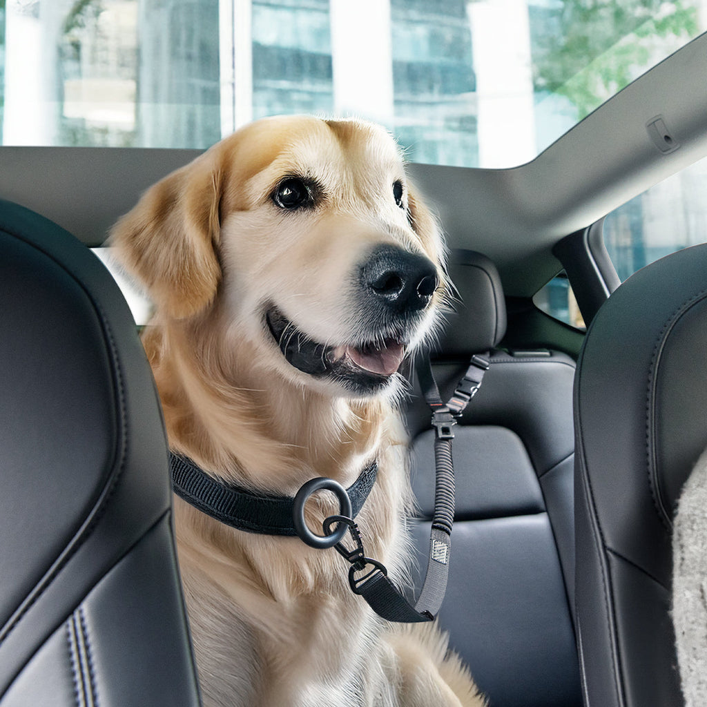 Pet Car Seatbelt Tether | PS100