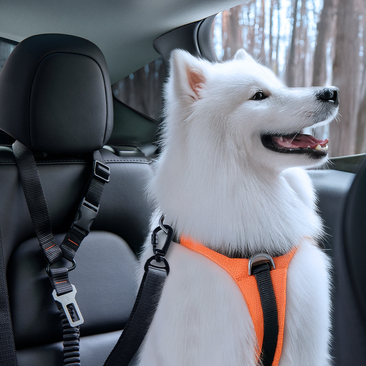 Pet Car Seatbelt Tether | PS100