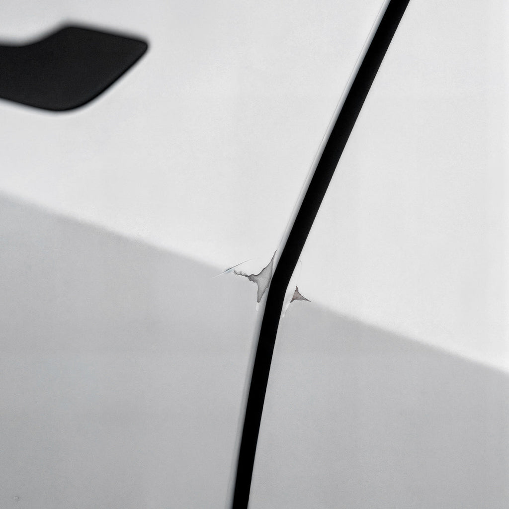 Garage Wall Protector | WP100