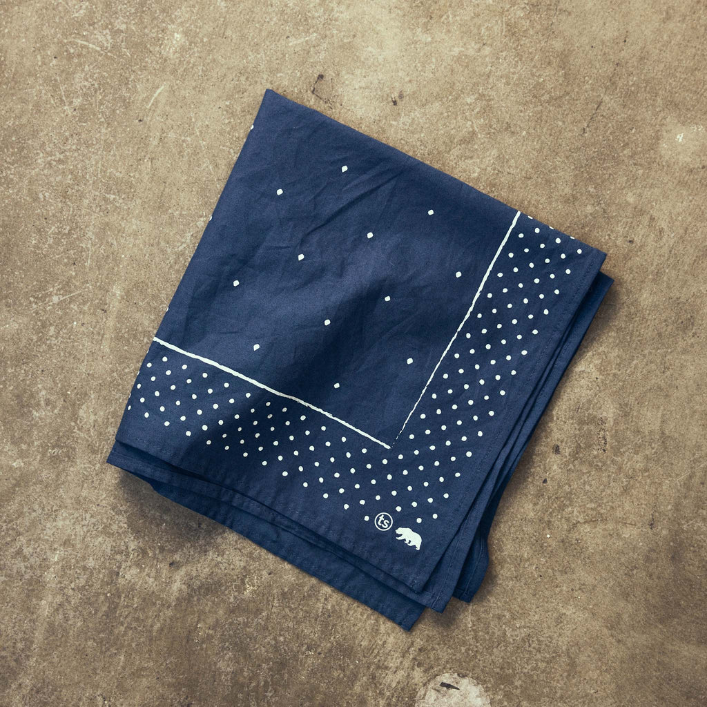 The Bandana in Heritage Blue